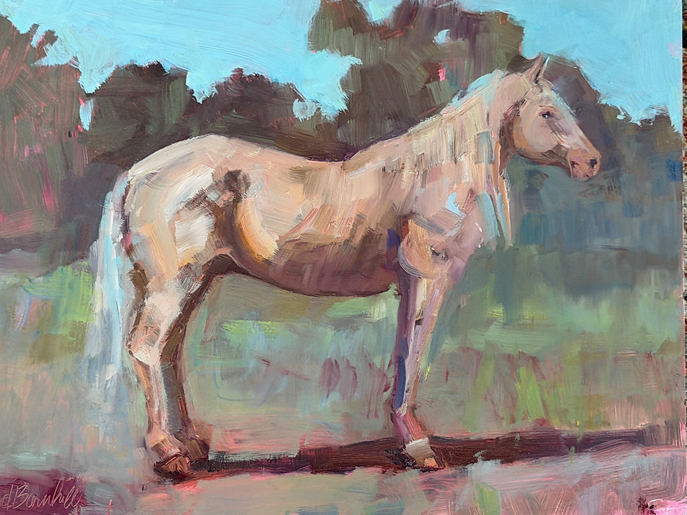 Equine Study