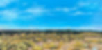 SOLD Dog Park Views 2