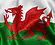 wales flag.jpg