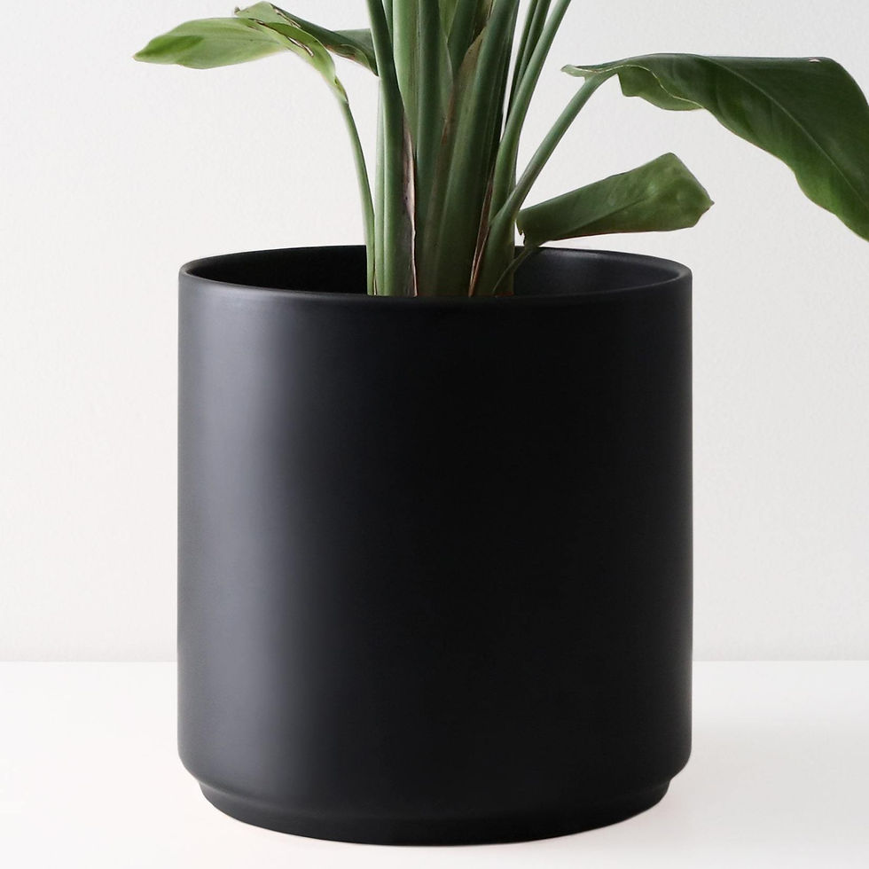 Thumbnail: Classic Cylinder Planters