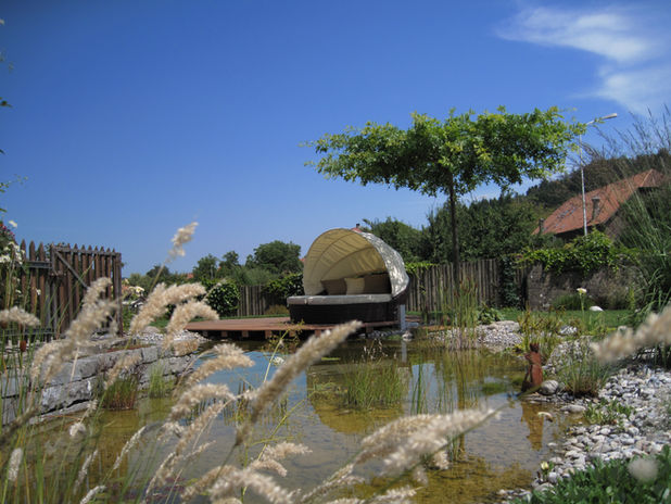 Naturnaher Gartenteich in Solothurn, Bucheggberg. Gartenteich planen und gestalten.