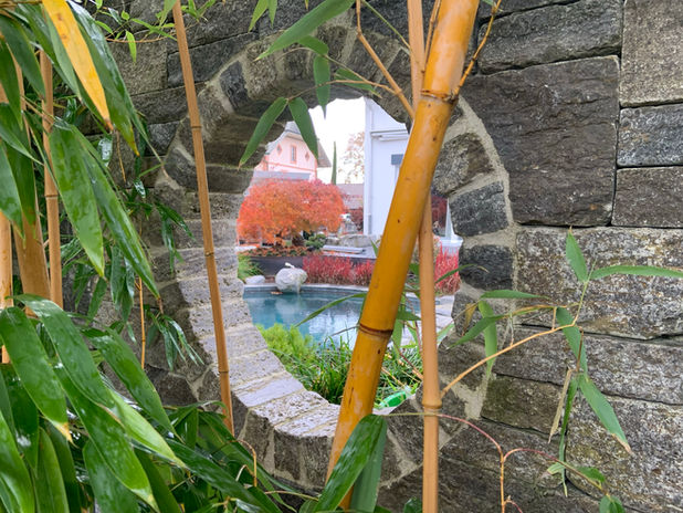Sichtschutzwand mit origineller Öffnung. Sonderanfertigungen aus einer Hand. Gartenbau Seeland, Bern, Olten 
