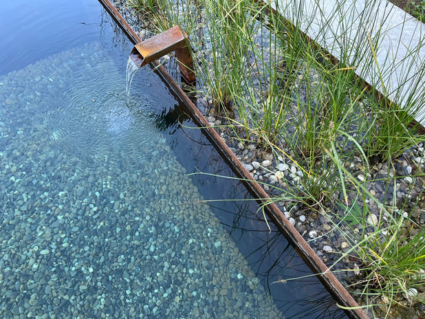 Naturpool aus Stahl. Biopoolbau im Seeland, Berner Oberland