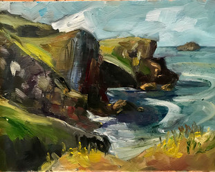 LOOKING TO POLZEATH