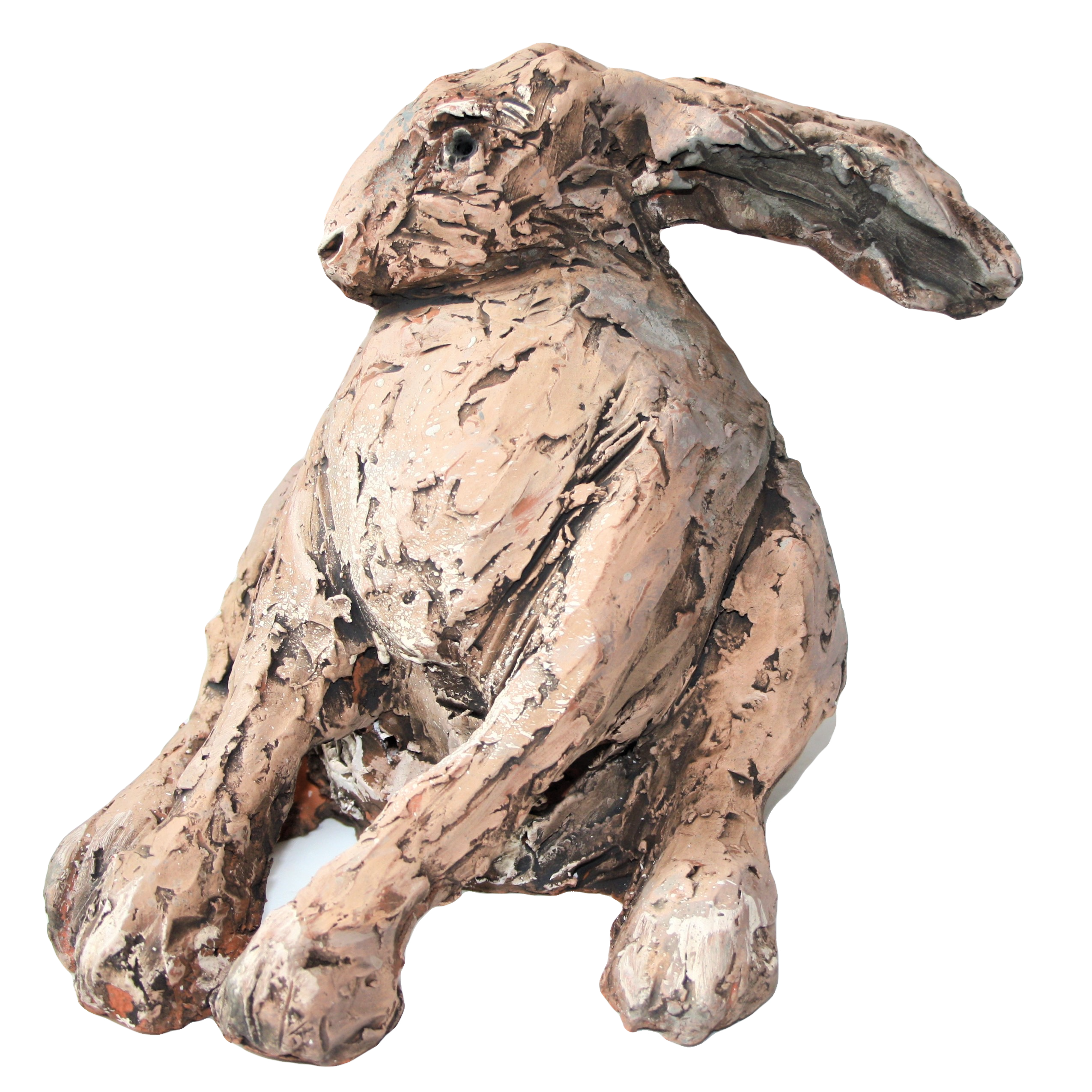 Hare