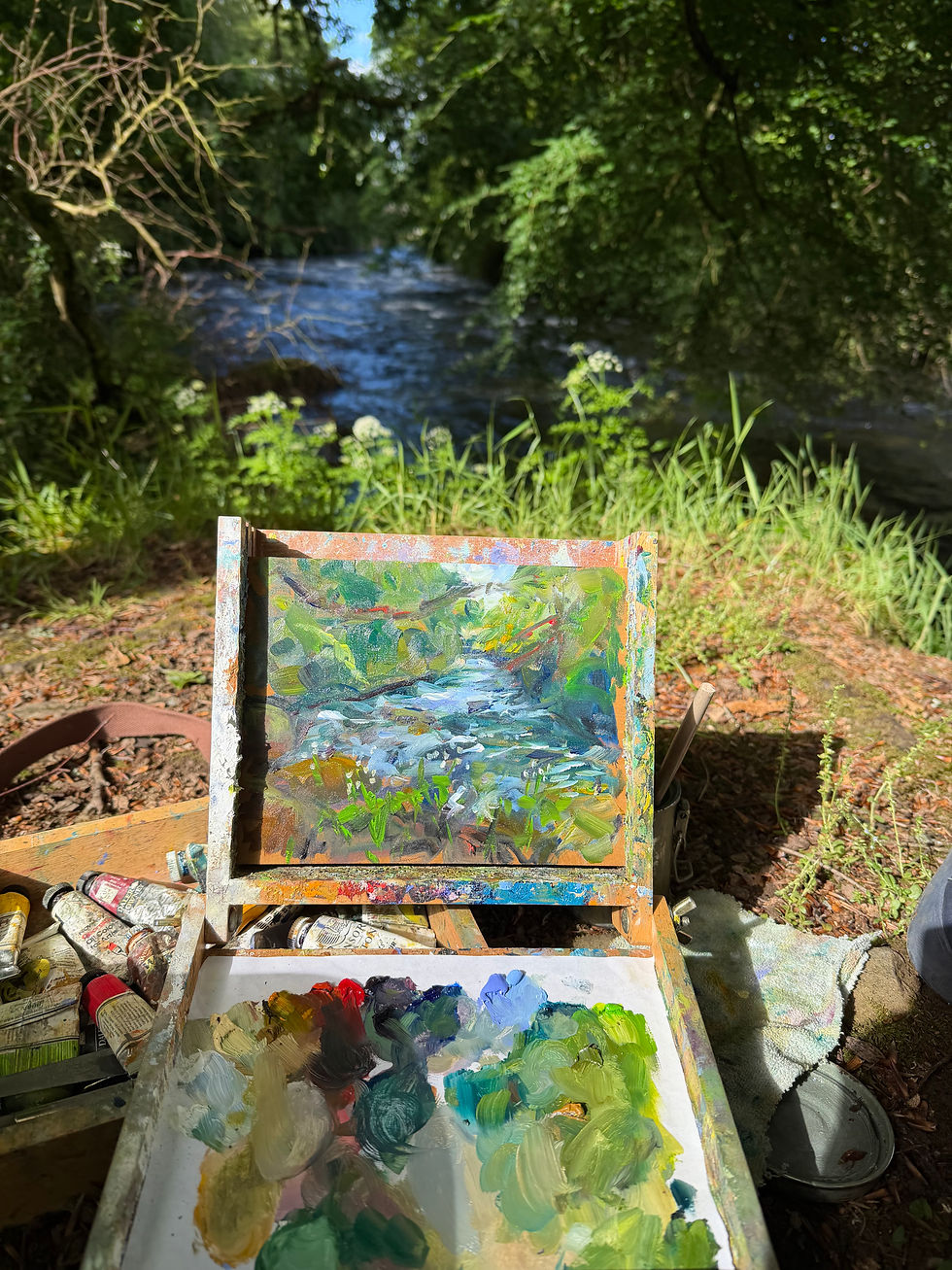 Llanystumdwy river Afon Dwyfor June 26