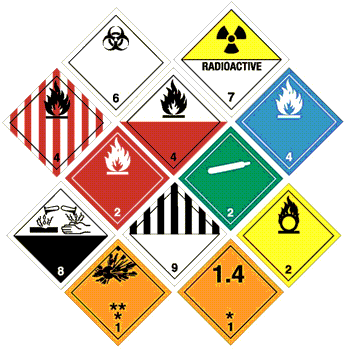 Company Training