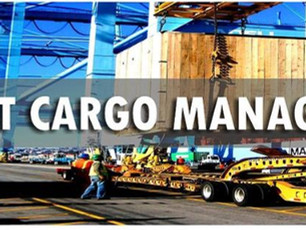 Project Cargo