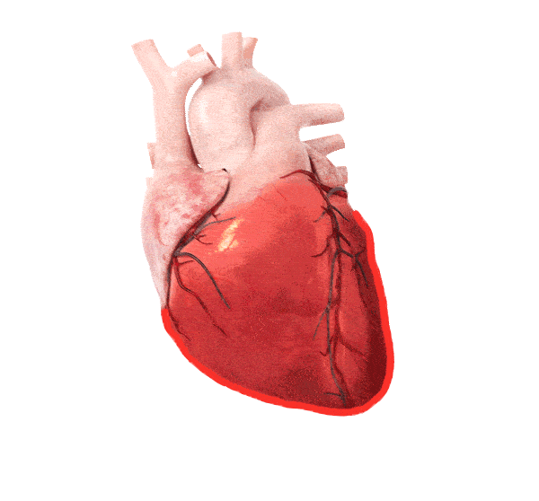 gif-shape-heart.gif