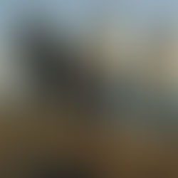 Hoe Kunnen We Samen Veerkrachtig Zijn? 🤝