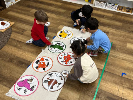 Understanding the GSMIS Education Program at Fuji.