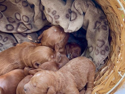 One week old already! ⭐️