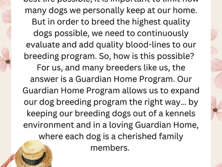 Guardian/Forever Family Home