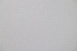 Conditional Planes 平面條件 1754, 2017년
