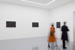 _W6W3953