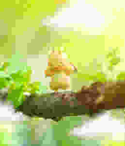 Toy Photography by CuriousHerring of a Ditto Dragonite from Pokemon. Ditto stands on the treetops ready to learn to fly.