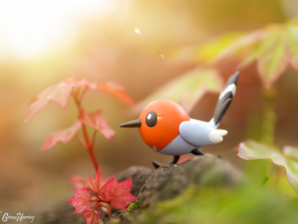 Fletchling Pokemon Toy Photography