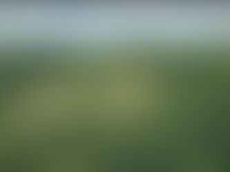 2021: A Year in Review or What Have You Done For Us Lately?