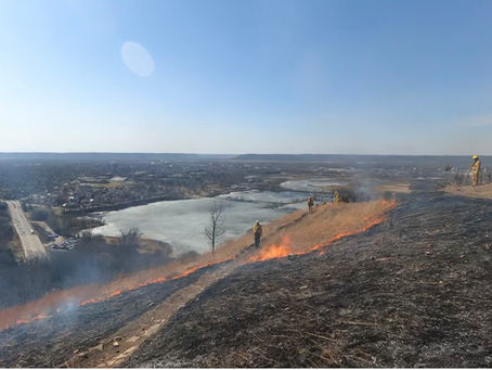 One More Board Member and Our First Burn of 2026