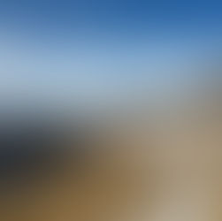 In 2026, Find Your Place and Celebrate!