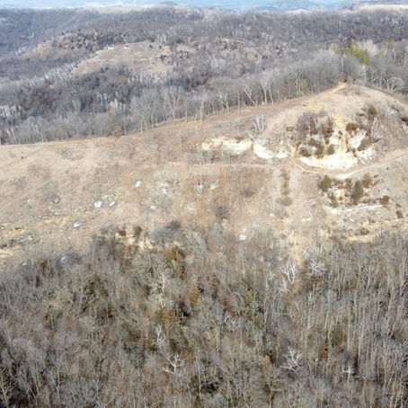 Factors Affecting the Expansion of Restored Remnant Prairies