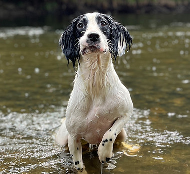 Smudge