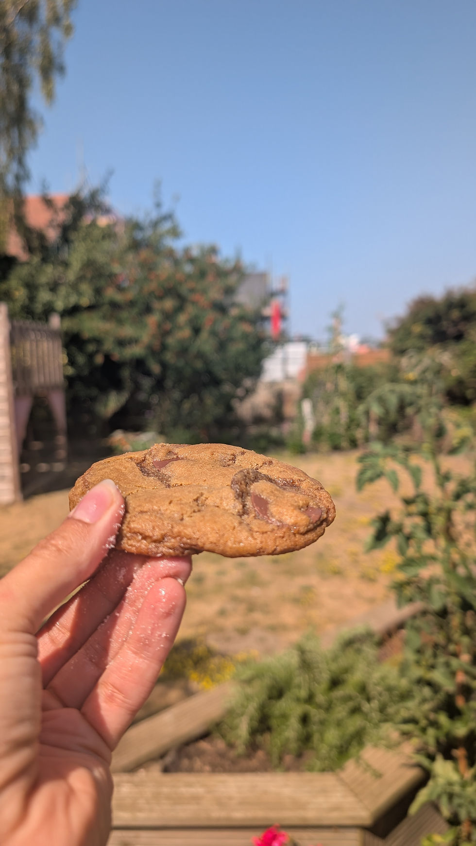 Thumbnail: Sourdough cookies
