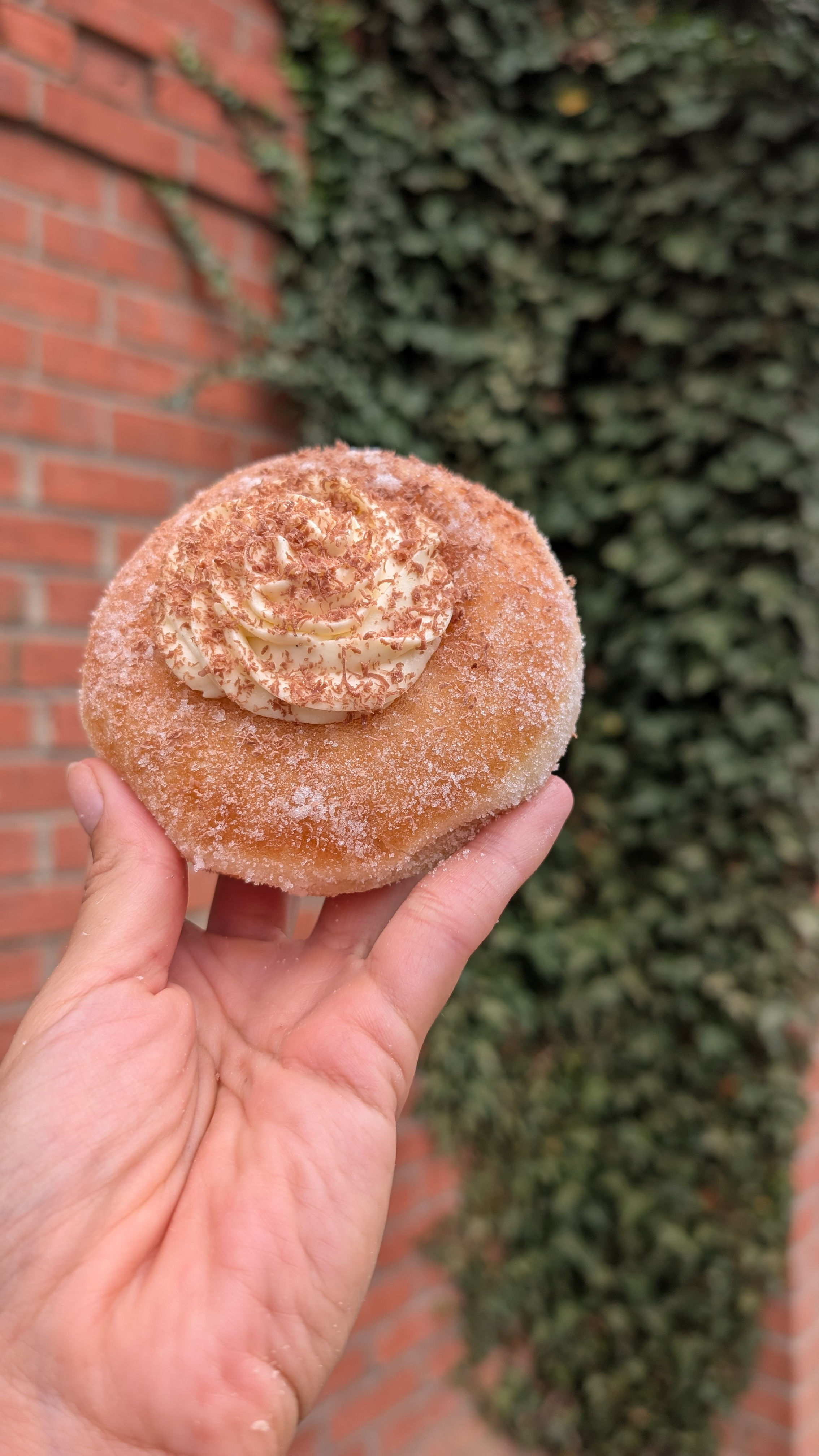 6 box SourDoughnut special offer
