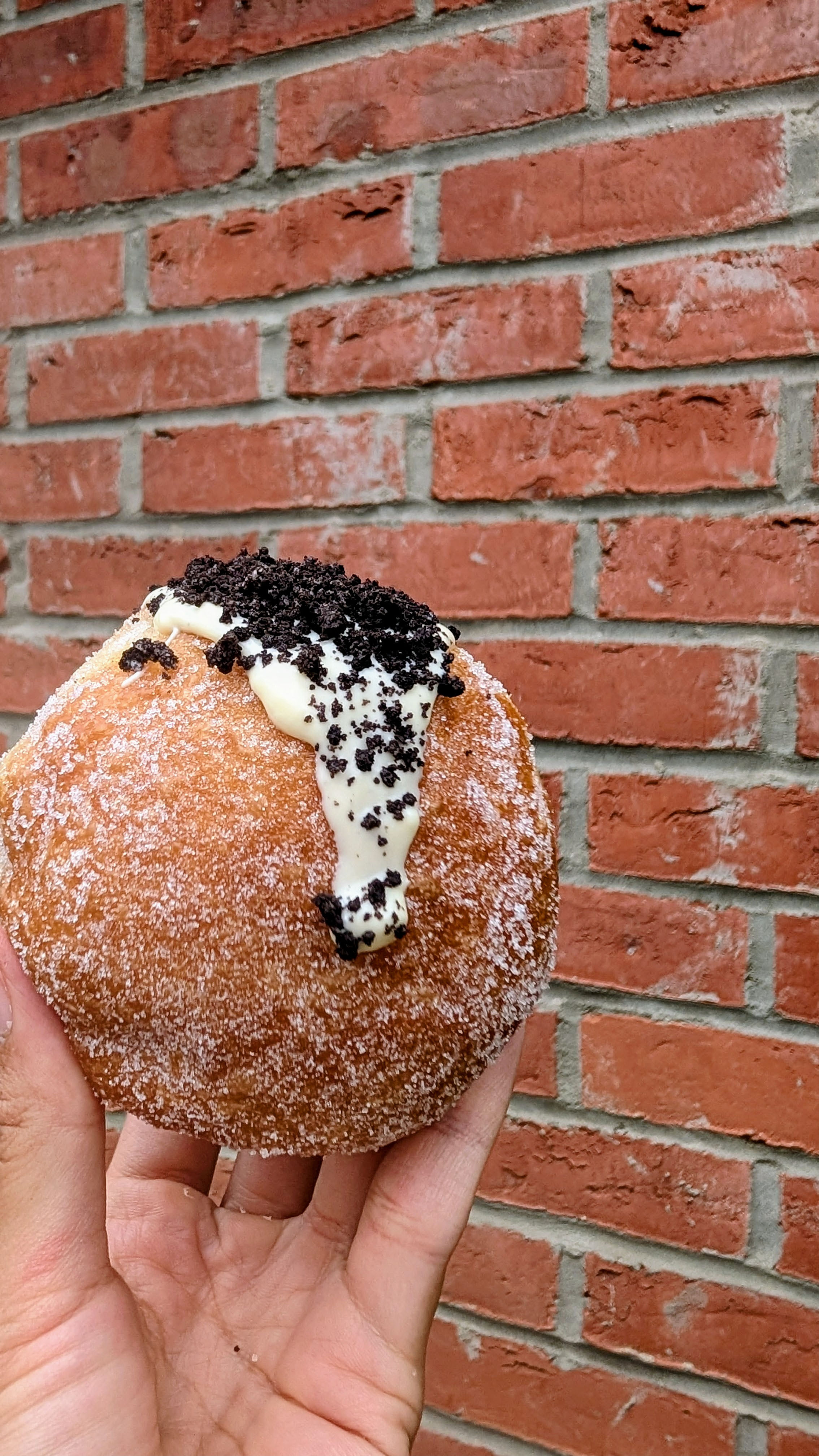 SourDoughnuts (box of 2)