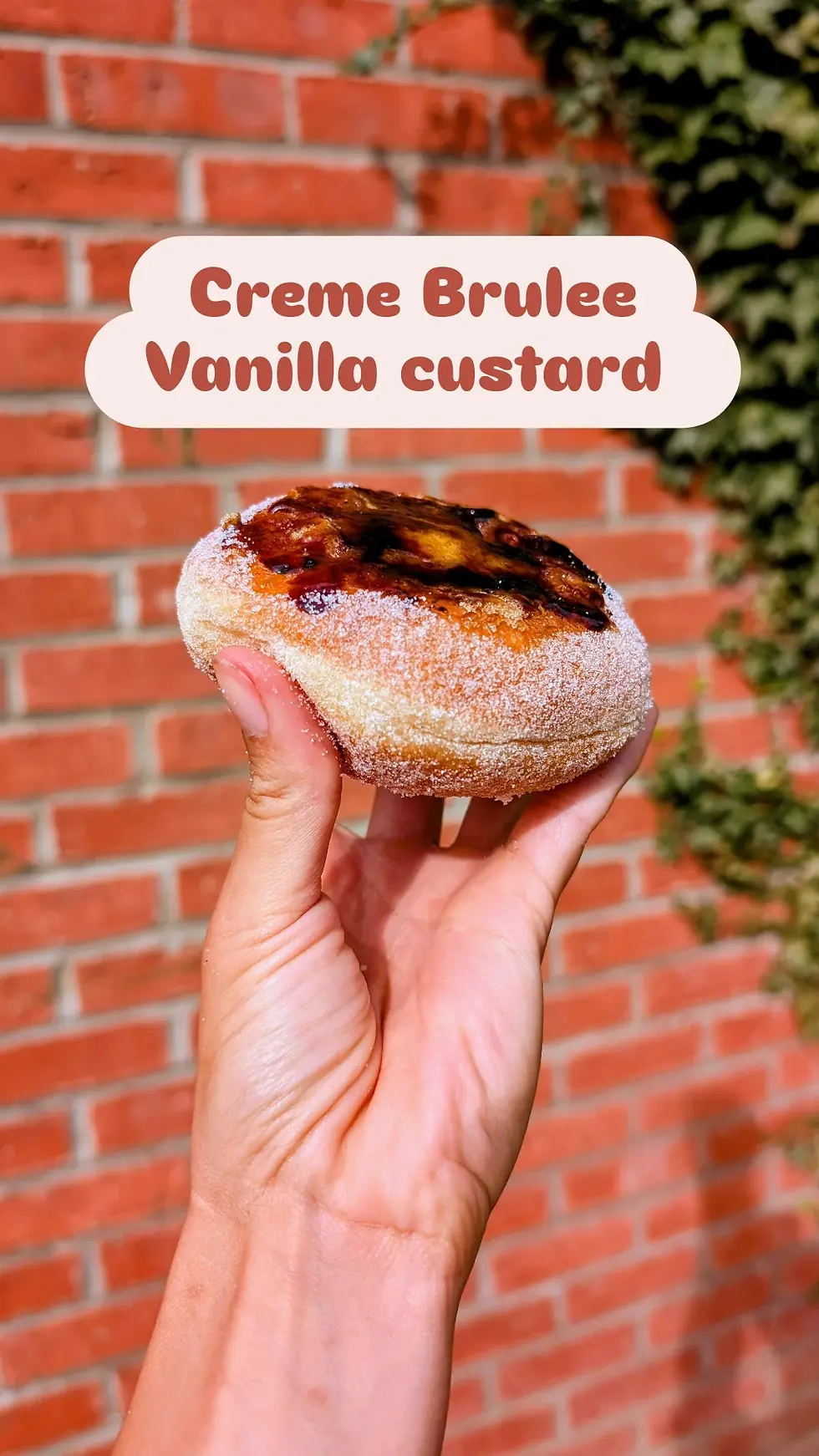 Thumbnail: 6 box SourDoughnut special offer