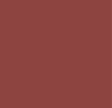 Tamar henkin web icons 4_3.png
