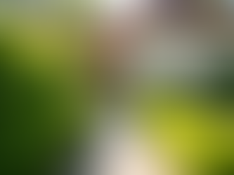 Die besten Tipps zum Immobilienverkauf in Bannewitz