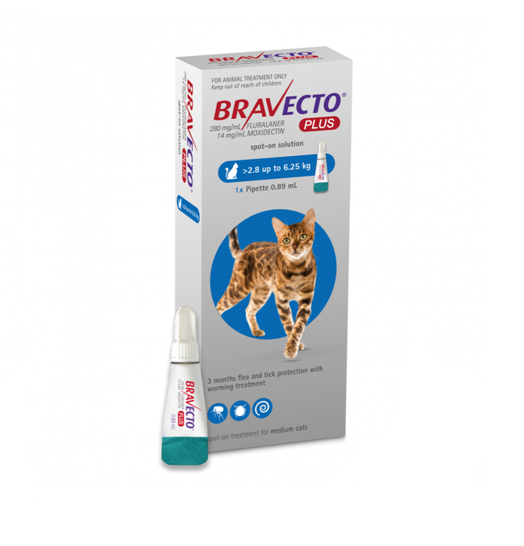 Bravecto Plus Spot On Flea Treatment For Cats 2.8-6.25kg