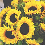 8bb26d444314be8d4057d90153d73c78_edited.