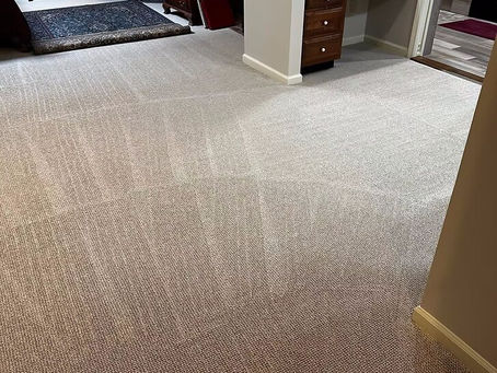 Why Regular Carpet Cleaning Is Essential For Your Home