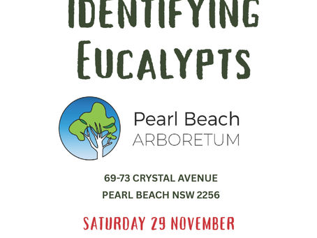 Working Bees, Eucalypt Workshop and Carols in the Arboretum!