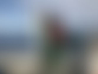 ９月１８日（火）～２０日（木）：釣果報告