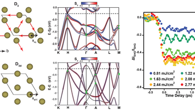Characterization and dynamics of the structure of topological materials