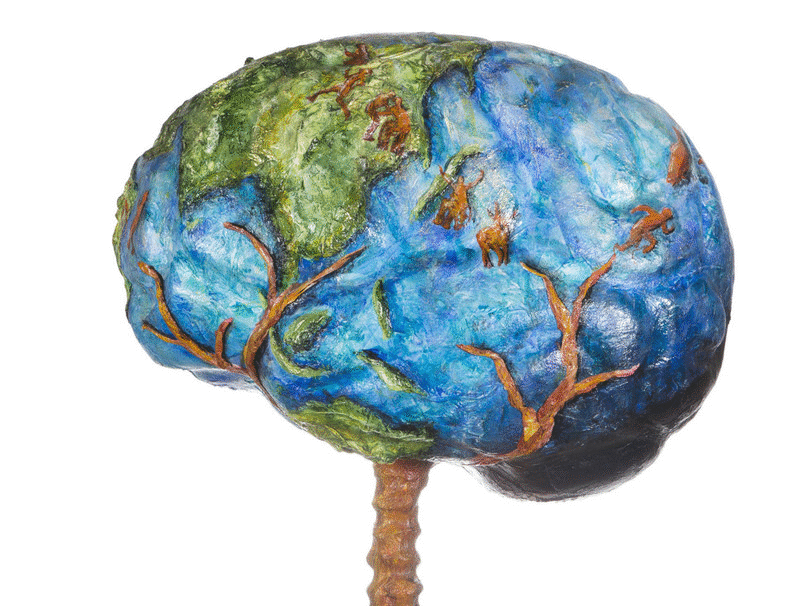 The Brain Project