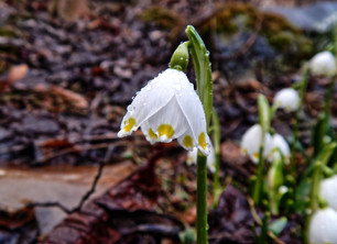 God's kindness banishes my fear...