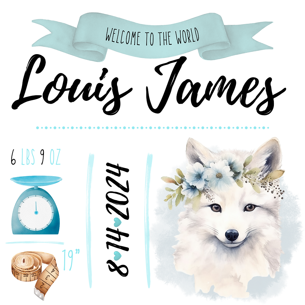 Thumbnail: Birth Announcement Baby Pillow