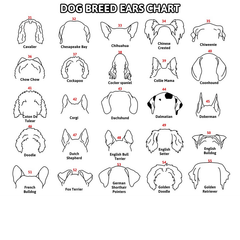 Thumbnail: Memorial Collar Holder