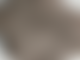 Confiscan Posible Reliquia Arqueológica: Escultura Prehispánica en Ruta a San Pedro Garza García