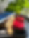 IMG_0421.jpeg