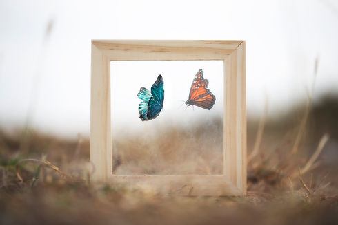 surreal meeting between two butterflies splits from a glass of a frame, concept of life.jp