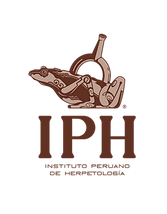 IPH Logo-Principal-02-1536x1536.png