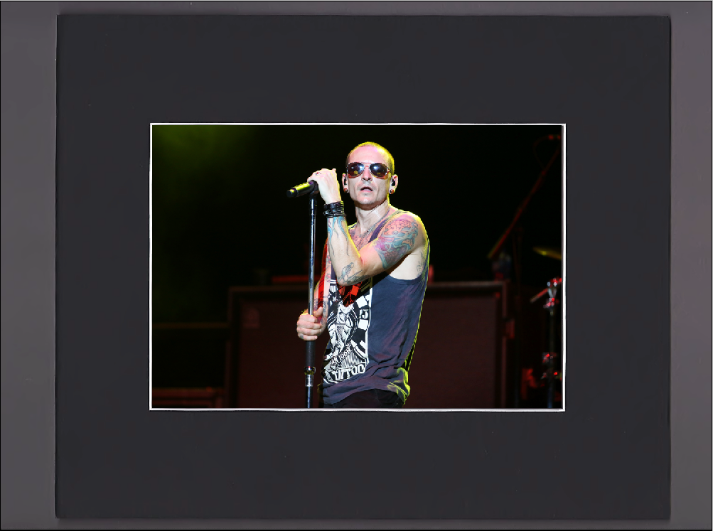 Linkin Park - Bennington - Shades