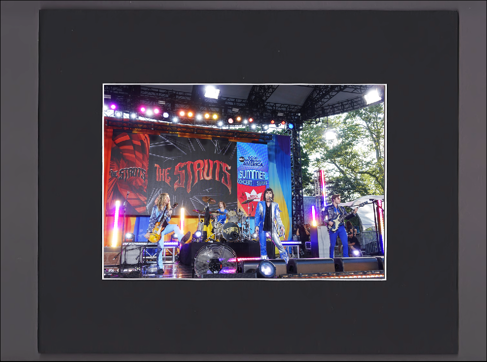 The STRUTS - GMA