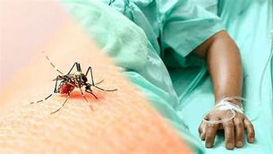 Brasil ultrapassa 1 milhão de casos de dengue em 2025