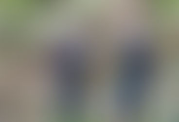 Corpo encontrado perto de córrego em Dourados é de homem desaparecido há 5 dias